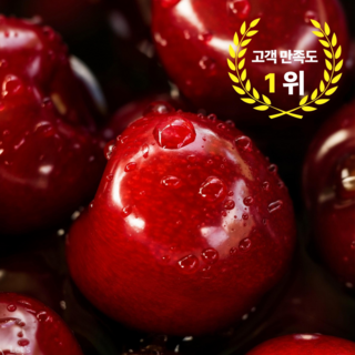 마음을파는청년 프리미엄 칠레산 체리 대과, 1개, 300g