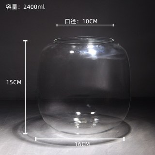 桃園熱銷 生態瓶 造景瓶 玻璃瓶 苔蘚植物微景觀瓶 辦公桌創意綠植擺件 DIY玻璃景觀瓶, 1個, 小號燈籠瓶（空瓶無蓋）