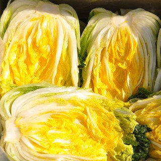 국내산 해남 절임배추 명품 프리미엄 절인배추, 1박스, 10kg