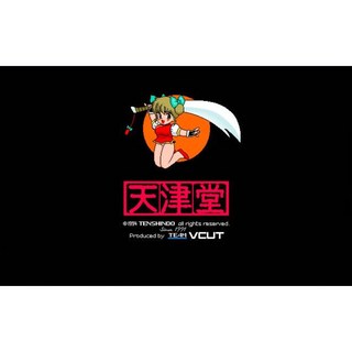 PC98 遊戲合集 個人精選 H遊戲 附 PC98 模擬器 2GB【PC 單機遊戲】，重溫經典，體驗懷舊遊戲樂趣, 1個