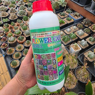 FLOWER CARE 플라워케어 1리터 원예용 칼슘 살충제 영양제 병충해 활력 다육식물 인연다육, 1개, 1L