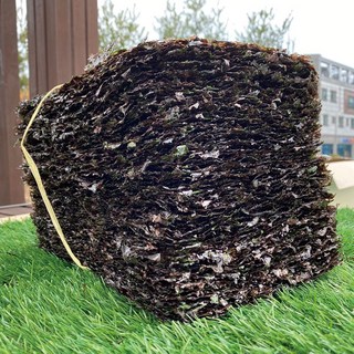 신건호멸치 햇 곱창김 / 실속형 재래돌김 곱창돌김 생김, 370g 내외, 1개