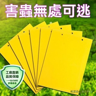 雙面黏蟲黃板 誘蟲板 捕蟲板 夏天田裡必備 多種尺寸 抓果蠅蒼蠅小飛蟲 園藝用品 菜園果園 庭院農作, 1個, 陞級強力雙麵膠：【1片裝】嚐新試用,廠傢直銷+物理滅蟲 +加厚雙麵膠