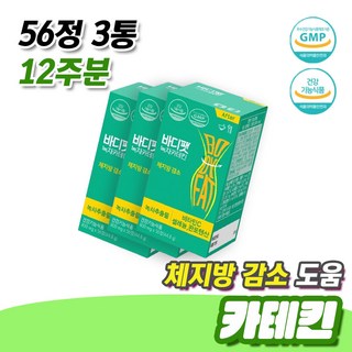양식 식습관 다이어트 식단 체지방 감소 도움 카테킨 56정 3통 12주분 항산화 작용 비타민C 콜레스테롤 개선 녹차 추출물