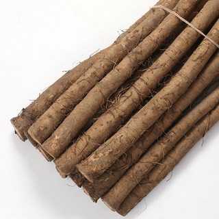 믿고 먹는 서안동농협 국내산 생우엉 2kg, 2kg (중품), 1개