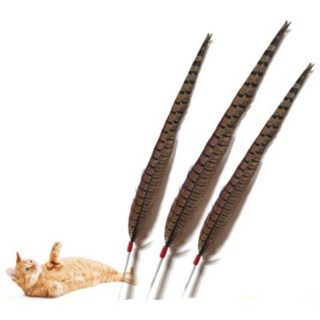 펫츠몬 깃털 고양이 낚싯대 장난감, 혼합 색상, 3개