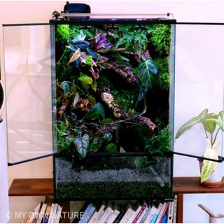 비바리움 주문제작 팔루다리움 도마뱀 사육장 크레스티게코 사육장 테라리움 주문제작, 1만원, 1개