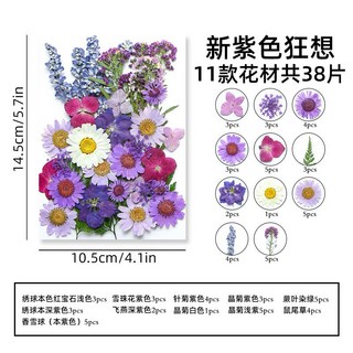 大花包組合 真花壓花 永生花 森林系 少女寫真 壁畫 DIY水晶滴膠 乾燥花 植物標本, 9.新紫色狂想