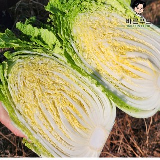 으뜸절임배추 절인배추 김장 20KG 주문 후 순차 발송, 1개, 주문 후 2일