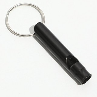 호신용호루라기 여성 휴대용 호신용품 위급한상황알림 1+1, 블랙1실버10145455GA, 2개