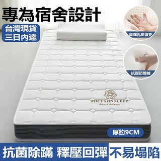 乳膠床墊記憶棉床墊海綿墊：柔軟蓬鬆單人雙人床墊，學生宿舍租房專用, 鑽石灰-厚度10cm【抗菌除蟎 拒絕塌陷,120*190cm【有長度200下標備注