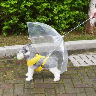 강아지 산책우산 우비 장마철 산책 외출 애견 투명 우산 리드줄 비오는날 반려견 실외배변 바람막이, 1개