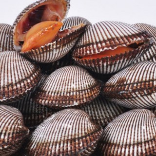 녹동수산 벌교 여자만 피꼬막3kg, 1개