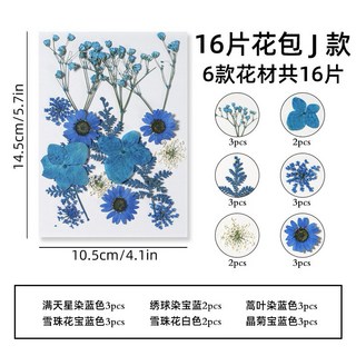 【16片系列】中花包組合 真花壓花 永生花 森林系 少女寫真 壁畫 DIY水晶滴膠 乾燥花 植物標本, 16片乾燥花-J