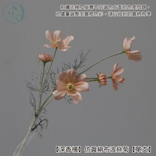 大好屋仿真絹布波斯菊 單支 仿真波斯菊 菊花 假花 拍照道具 花束 插花, 1個, 【深香檳】仿真絹布波斯菊【單支】, 深香檳