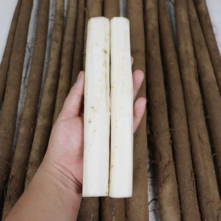 안동 생우엉 햇 우엉, 1박스, 알뜰실속우엉2k