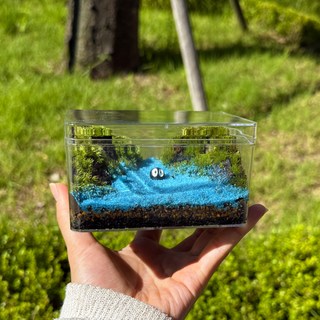 바다 테라리움 만들기 키트 DIY 이끼 키우기 1세트, 1개