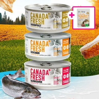 캐나다프레쉬 캣 고양이 주식캔 습식사료 156g, 1개