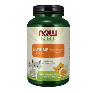 now pet 寵物貓咪專用離胺酸粉 226.8克，提升免疫力，維持呼吸道健康, 1個, 效期2028年+不鏽鋼1/8匙1支, 227g, 呼吸/支氣管
