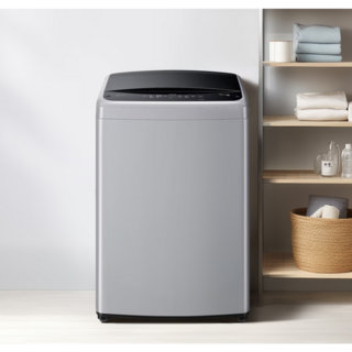 LG전자 통돌이세탁기 TR16DV6 방문설치 16KG, 미드프리실버, TR16DV6 (신모델)