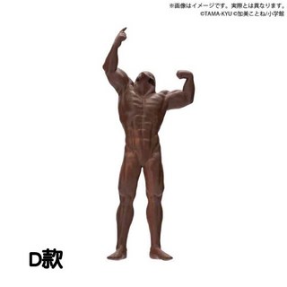 BUSHIROAD TAMA-KYU 鼴鼠-土中的真實- 轉蛋 扭蛋 公仔 全5款, 1個, D款/向上秀肌肉1I063