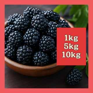산지직송 고창 슈퍼 복분자 특품 1키로 5키로 10키로 블랙베리, 1개, 특품 1kg