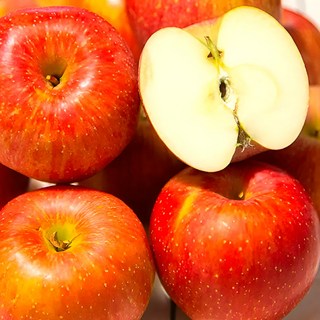 [알짜특가] 꿀아삭 못난이 부사사과, 10kg, 1박스