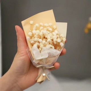 特價秒殺 迷你精緻滿天星小花束 手工車載乾花玫瑰 永生花禮物 DIY手作 母親節送禮推薦 創意裝飾, 白星迷你