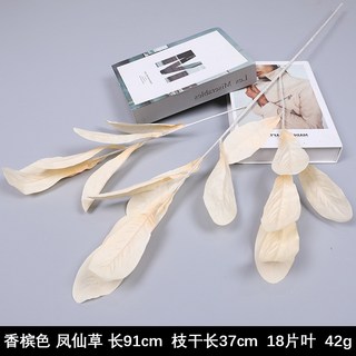 嘉義出貨 香檳色仿真花 婚慶路引 插花 路引葉材假花 尤加利裝飾花 仿真植物批發 人造花 香檳色玫瑰花, 鳳仙草1枝 【3枝起發貨】, 1個