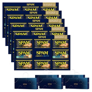 스팸 12C호 선물세트 + 쇼핑백, 5세트