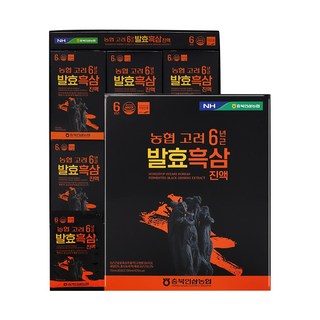 충북인삼농협 고려 6년근 발효흑삼 진액 70mlx30포 2BOX, 2.1L, 2개