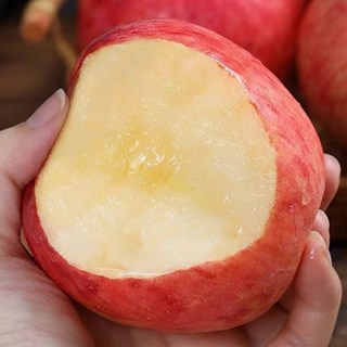 [설특가] 꿀과즙 청송사과 꿀부사 마지막물량, 1개, 3kg