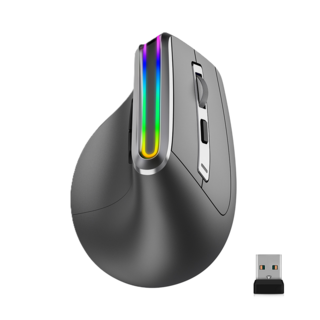 LunoTech 버티컬 무선 인체공학 무소음 블루투스 마우스 내장배터리, Black, V20