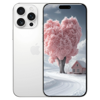 아이폰 16 프로 맥스 화이트 티타늄