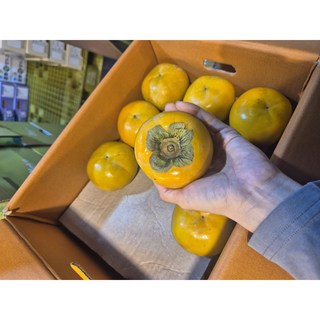 [특상품 단감] 가락시장 부유 단감 고당도 특품 상품 새벽경매 직접 선별 하이과일, 1박스, 4kg