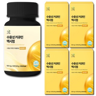 [4개월분] 강황 수용성 커큐민 식약청 HACCP 인증 (대용량), 5개, 120정