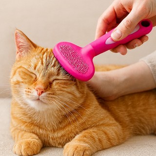 쏠레아 고양이빗 털제거 브러쉬 반려묘 마사지 빗 고양이 죽순이빗, 1개, 핑크