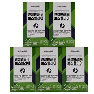 프롬바이오 관절연골엔 보스웰리, 30정, 5개