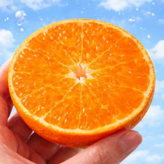 [최대17brix 초고당도]프루티 산지직송 초고당도 프리미엄 레드향, 1개, 중과 3kg (14과내외)