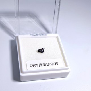 真隕石 阿根廷隕石 NWA隕石 隕石標本禮盒 宇宙禮物, 1個, 阿林目擊隕石0.-0.5cm