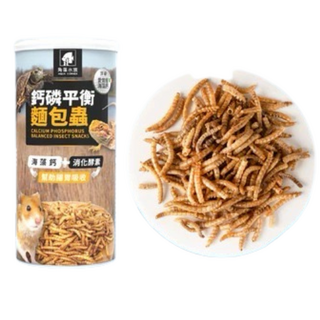 角落水族 AQUA CORNER 鈣磷平衡麵包蟲 - 昆蟲零食, 1個, 80g