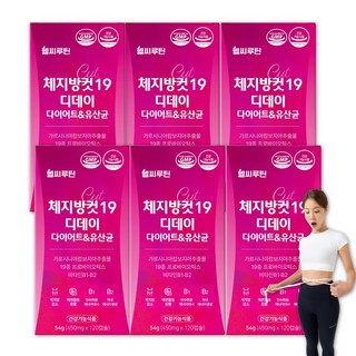 헬씨루틴 체지방컷 19 디데이 다이어트 유산균, 6개, 120정