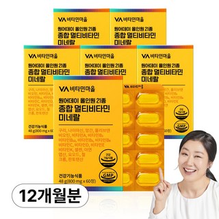 비타민마을 원어데이 올인원 21종 종합 멀티비타민 미네랄, 60정, 6개