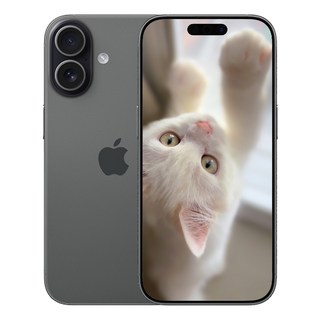 i폰 17 미개봉 새상품, 512GB, 블랙(Black)