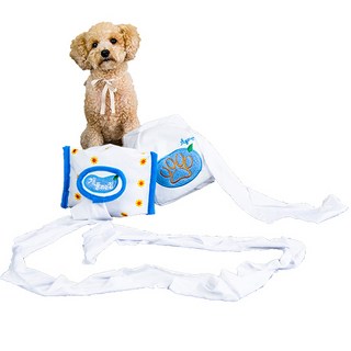 모두와샵 강아지 노즈워크 휴지장난감 개풀리는 집 물티슈형+곽티슈형, 혼합색상, 1세트