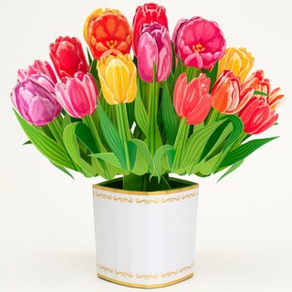 카드플리즈 꽃다발 카드 시리즈 7종- 팝업 입체 3D 어버이날카드 스승의날카드 감사카드 땡큐 생일카드 파티용품, 3. 튤립 플로랄 팟