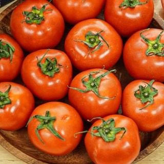 국내산 완숙 토마토 찰토마토 특품, 1개, 2.5kg