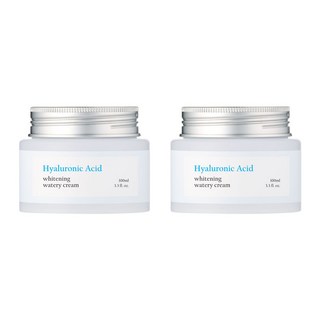 [1+1]퓨어그라운드 히알루론산 화이트닝 수분크림 100ml 2개, 100g