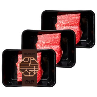 1++등급 한우 양지 900g(300gx3) | 국거리 장조림용 수육용 전골 곰탕 찜용 고급 양지머리 덩어리 미절단 투뿔 한우 마장동 프리미엄 소고기 추천 [냉장] 압구정한우, 300g, 3개