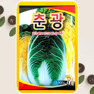 배추씨앗 춘광 배추 종자 2000립 사카타코리아, 1개